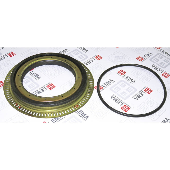 LEM10815319B2AK Shaft Seal, wheel hub