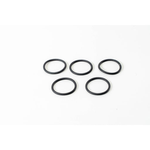 LEM125060 Seal Ring, injector