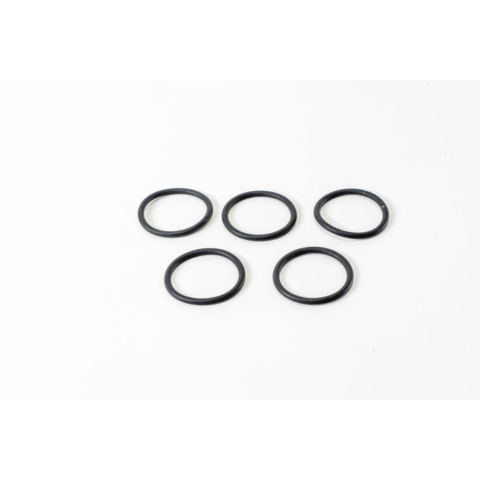 LEM125060 Seal Ring, injector