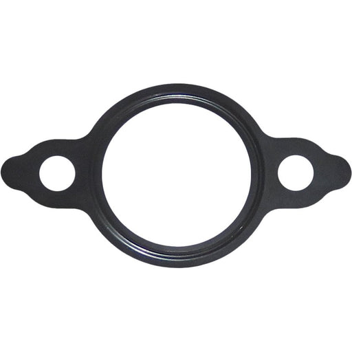 LEM21653.00 Seal, EGR valve