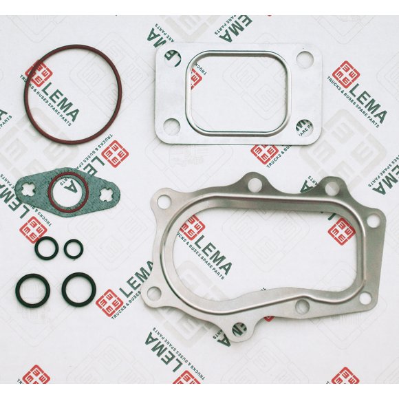 LEM21769.11 Gasket Set, charger