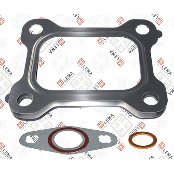 LEM21795.11 Gasket Set, charger