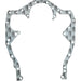 LEM22077.00 Gasket, timing case