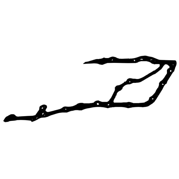 LEM22600.45 Gasket, timing case