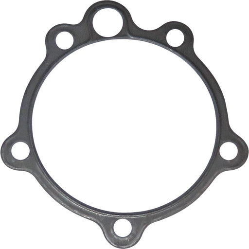 LEM23113.06 Gasket, timing case