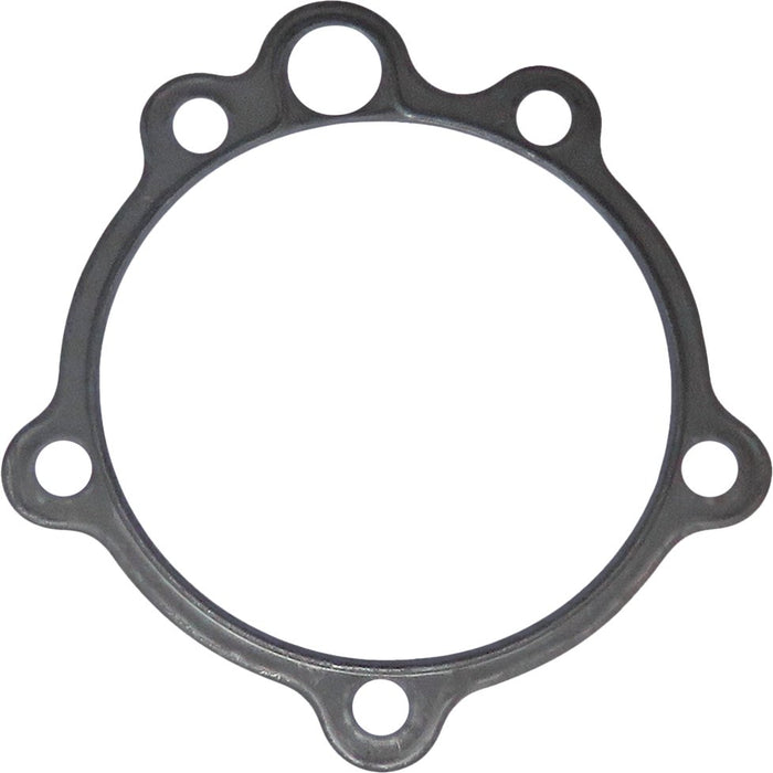 LEM23113.06 Gasket, timing case