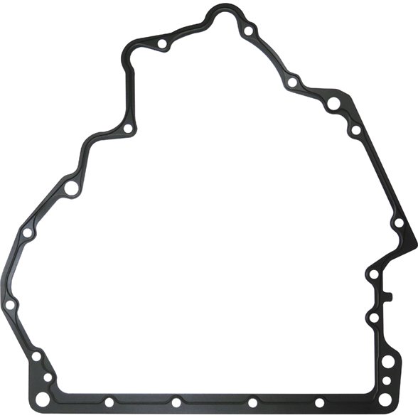 LEM23300.91 Gasket, timing case