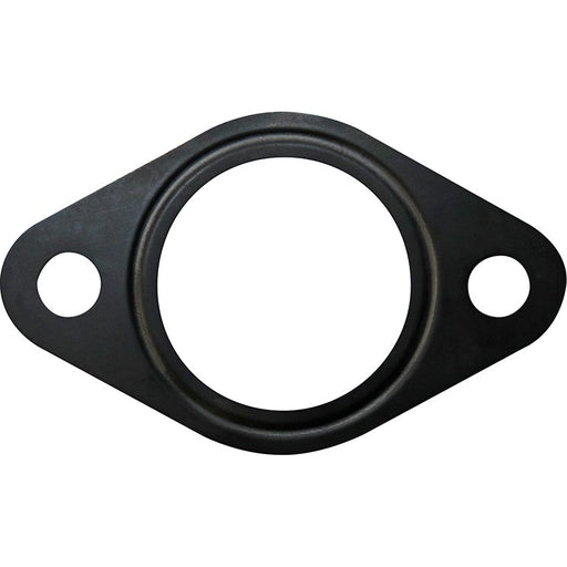LEM24417.01 Gasket / Seal