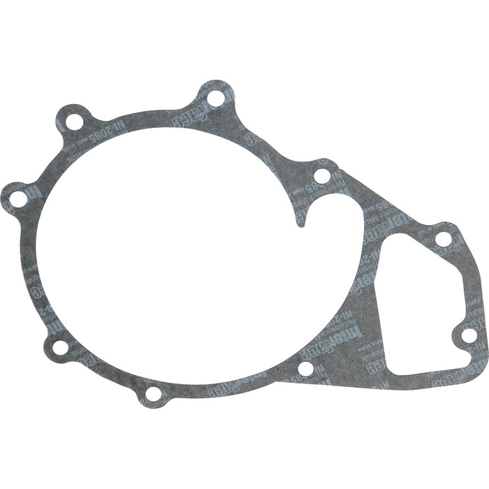 LEM24500.25 Gasket, water pump