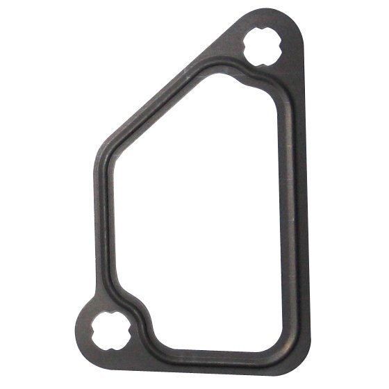 LEM24805.55 Gasket / Seal