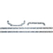 LEM25551.05 Gasket, oil sump