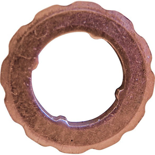 LEM28016.09 Seal Ring, nozzle holder