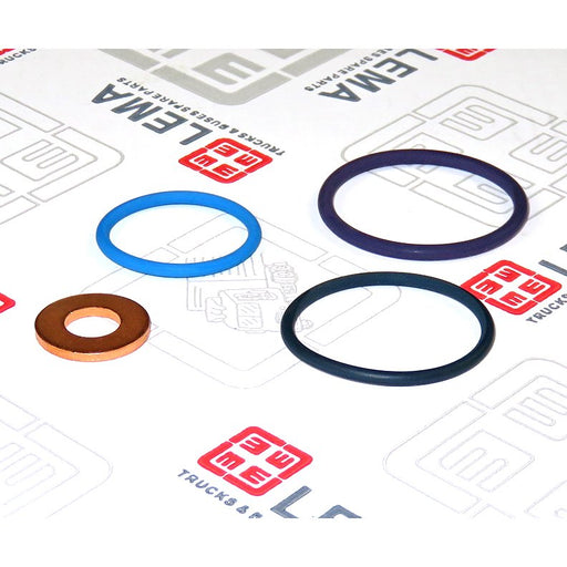 LEM28070.20 Seal Kit, injector nozzle