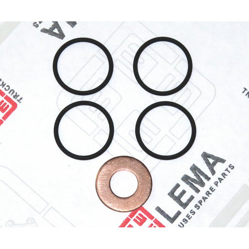 LEM28070.21 Seal Kit, injector nozzle