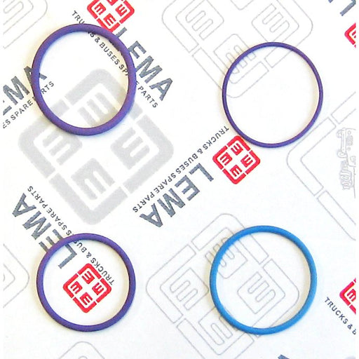 LEM28070.40 Seal Kit, injector nozzle