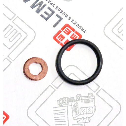 LEM28070.43 Seal Kit, injector nozzle