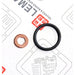 LEM28070.43 Seal Kit, injector nozzle