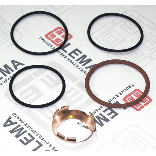 LEM28070.45 Seal Kit, injector nozzle