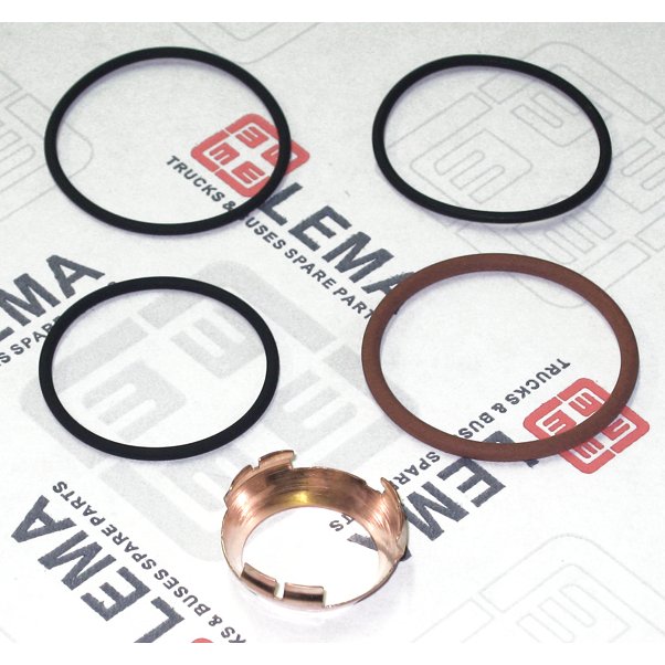 LEM28070.45 Seal Kit, injector nozzle