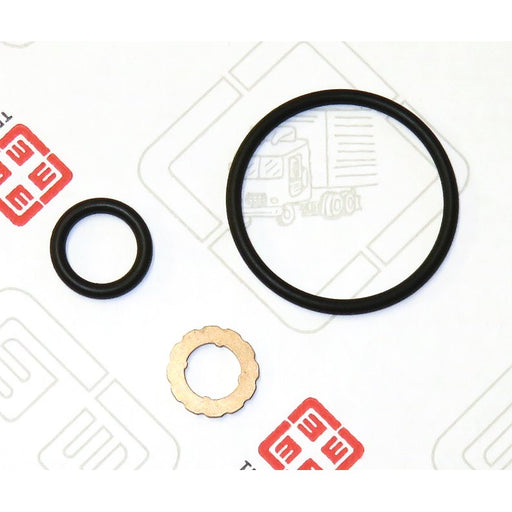 LEM28070.51 Seal Kit, injector nozzle