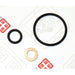 LEM28070.51 Seal Kit, injector nozzle