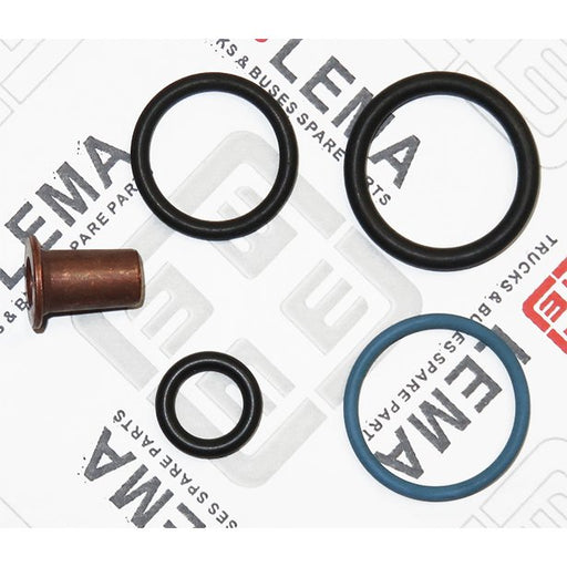 LEM28070.62 Seal Kit, injector nozzle