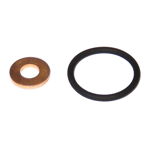 LEM28070.79 Seal Kit, injector nozzle