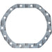 LEM31017.00 Gasket, differential