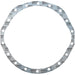 LEM31039.00 Gasket, differential