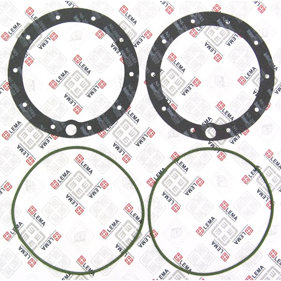 LEM31756.00 Gasket Set