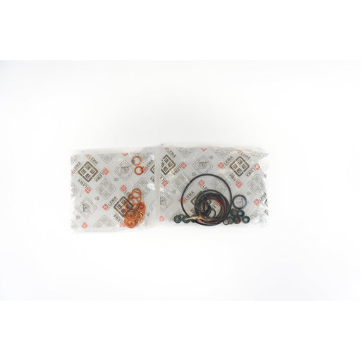 LEM43018.10 Full Gasket Set, engine