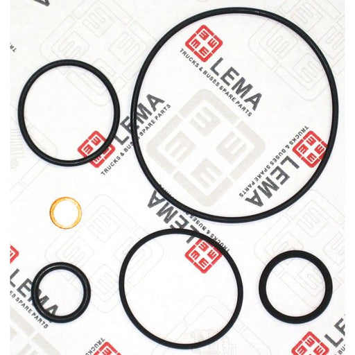 LEM50050.20 Gasket Set, water pump