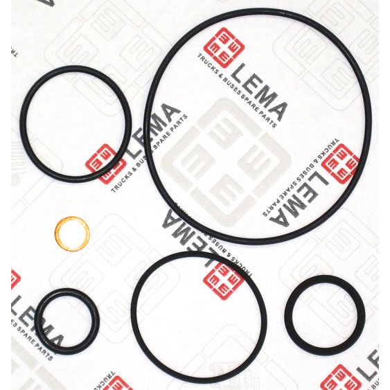 LEM50050.20 Gasket Set, water pump