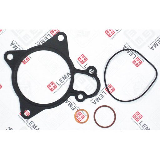 LEM50050.25 Gasket Set, water pump
