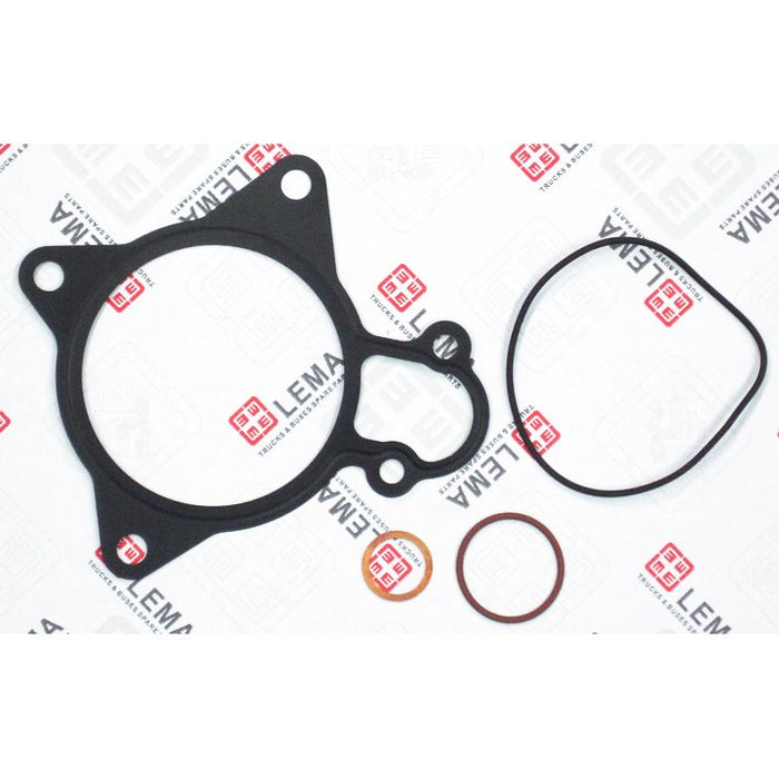 LEM50050.25 Gasket Set, water pump