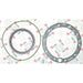 LEM5032315 Gasket Set, wheel hub