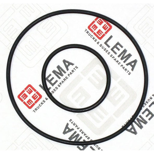 LEM53050.20 Gasket Set, water pump