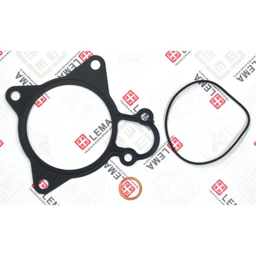 LEM53050.25 Gasket Set, water pump