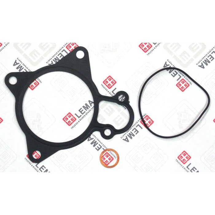 LEM53050.25 Gasket Set, water pump