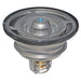 LEM581076 Thermostat, coolant