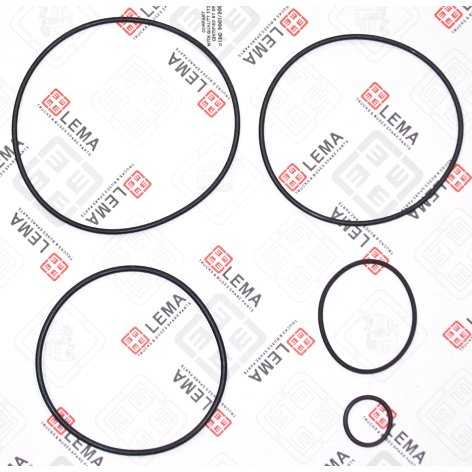 LEM70960.00 Gasket Set, centrifugal cleaner
