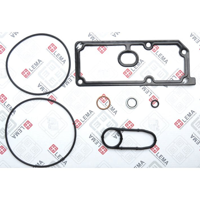 LEM70960.03 Gasket Set, centrifugal cleaner