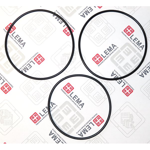 LEM70960.06 Gasket Set, centrifugal cleaner