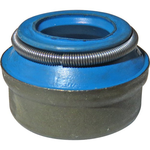 LEM801209B1VI Seal Ring, valve stem