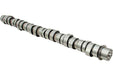 SLP LK-172 Camshaft - 21154172