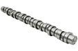 SLP LK-437 Camshaft - 21110437,23289165