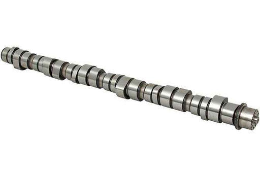 SLP LK-565 Camshaft - 20894565