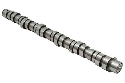 SLP LK-666 Camshaft - 40005666