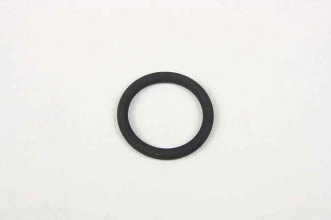 SLP OR-307 O-Ring - 20866307