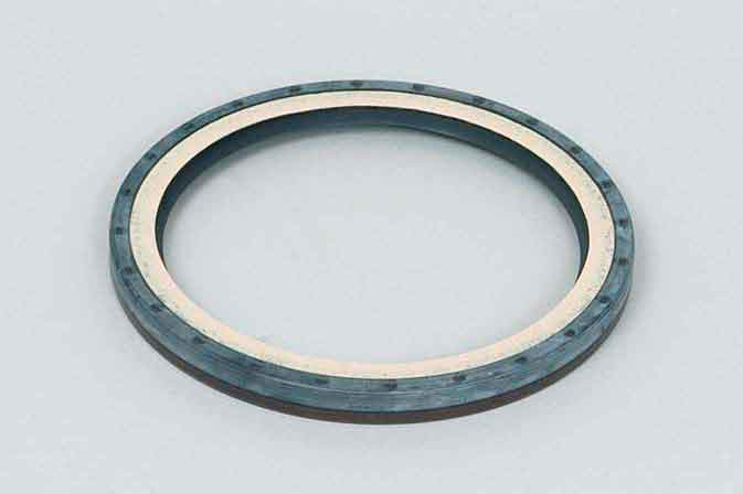 SLP PB-259 Crankshaft Seal - 22086413,8148259